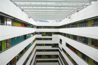 多元藝術 點亮香港人文情懷——輕工之美的交融與新生