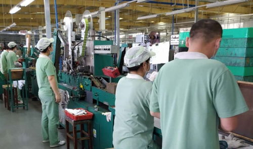 廣州輕工集團(tuán) 以創(chuàng)新驅(qū)動(dòng)高質(zhì)量發(fā)展，譜寫(xiě)輕工業(yè)新篇章